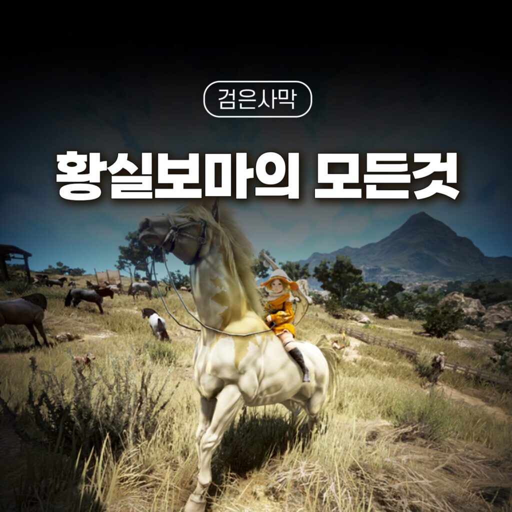 검은사막 황실보마의 모든것 썸네일